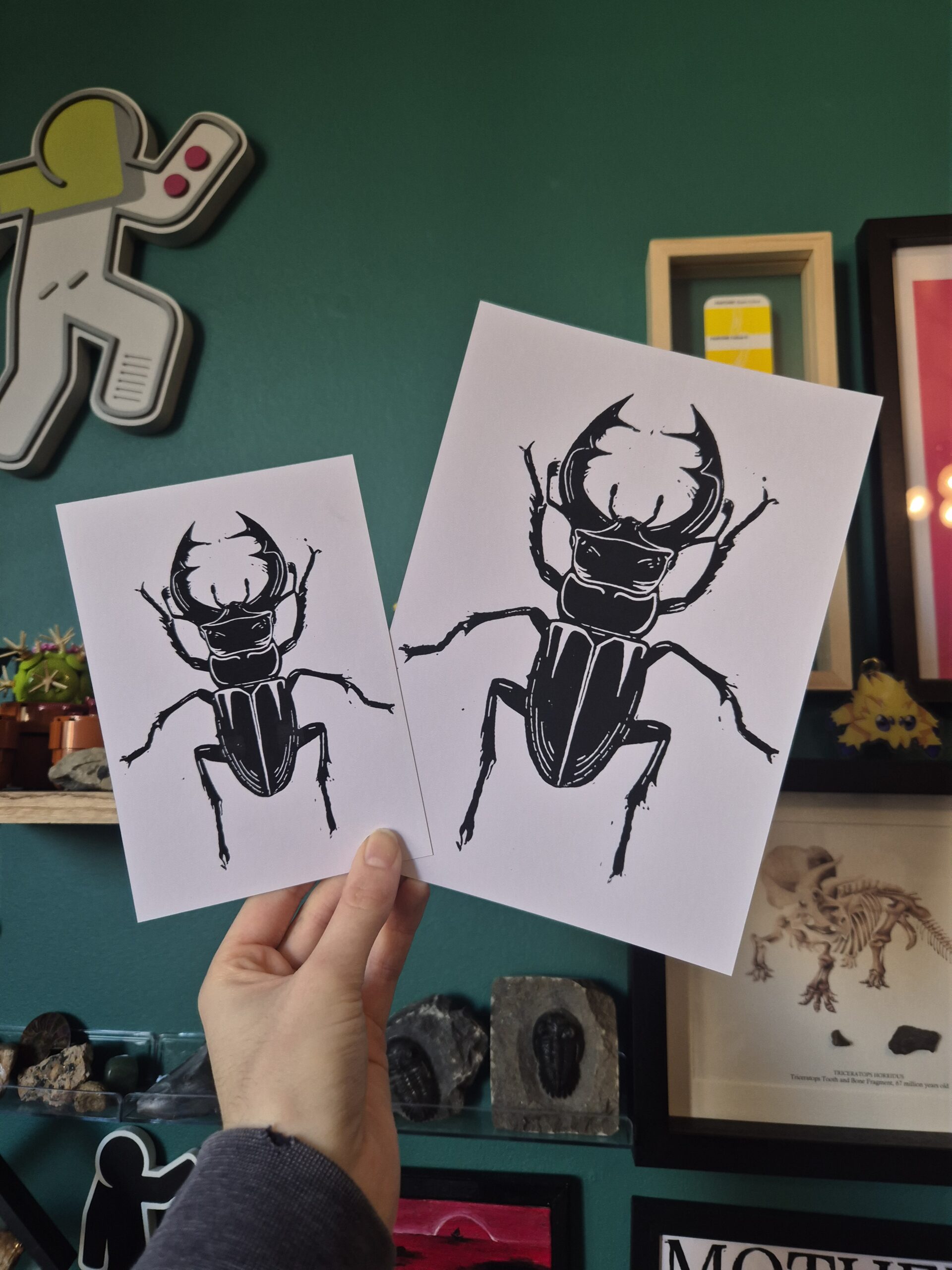 A5 or A6 Stag Beetle Postcard