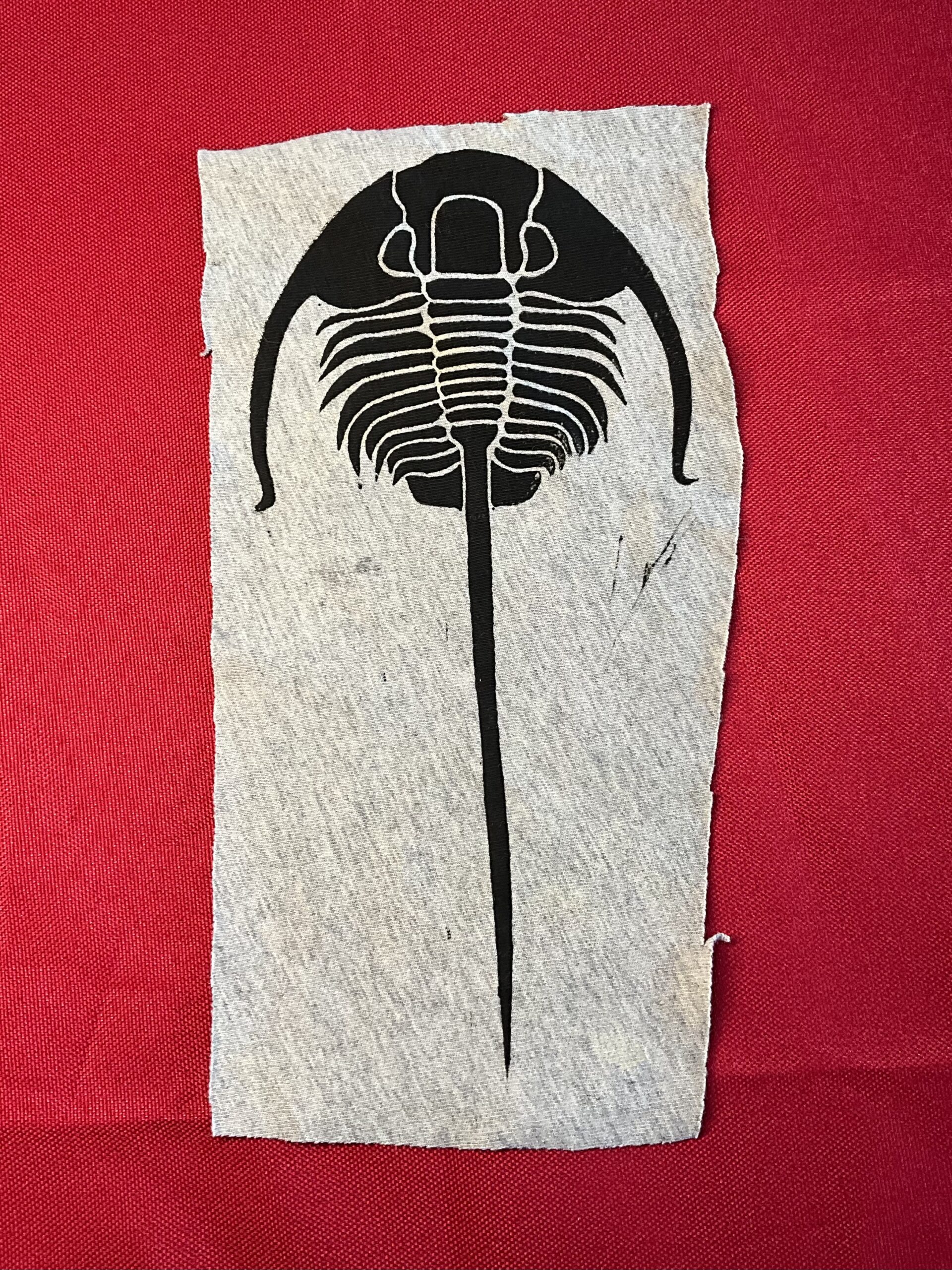 Grey Black Trilobite Patch