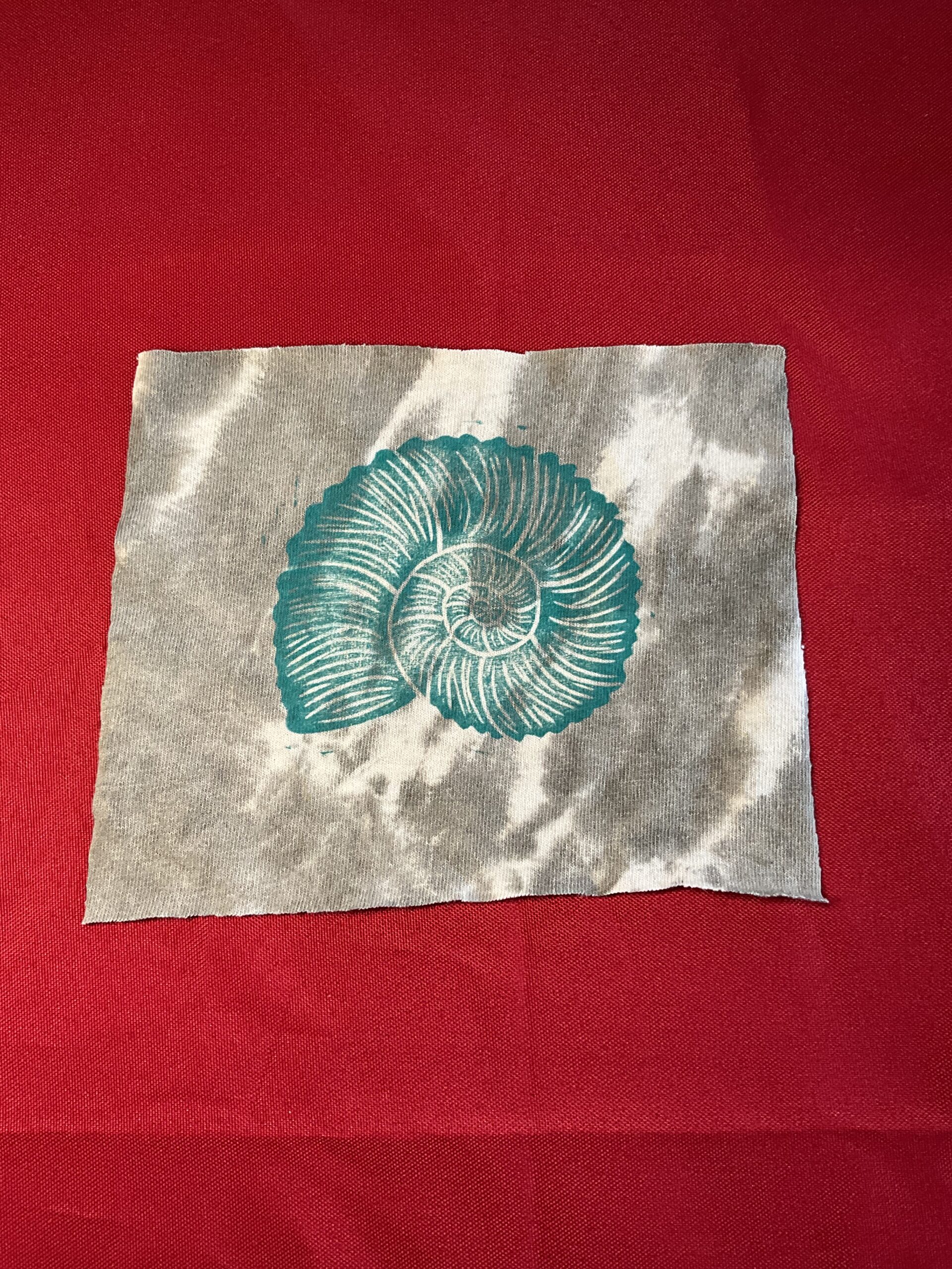 Grey & Blue Ammonite Patch