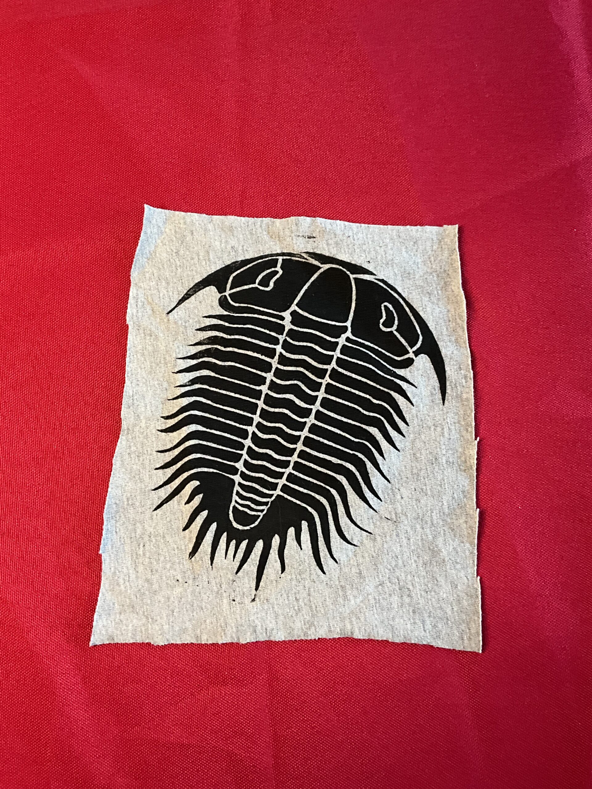 Grey & Black Trilobite Patch