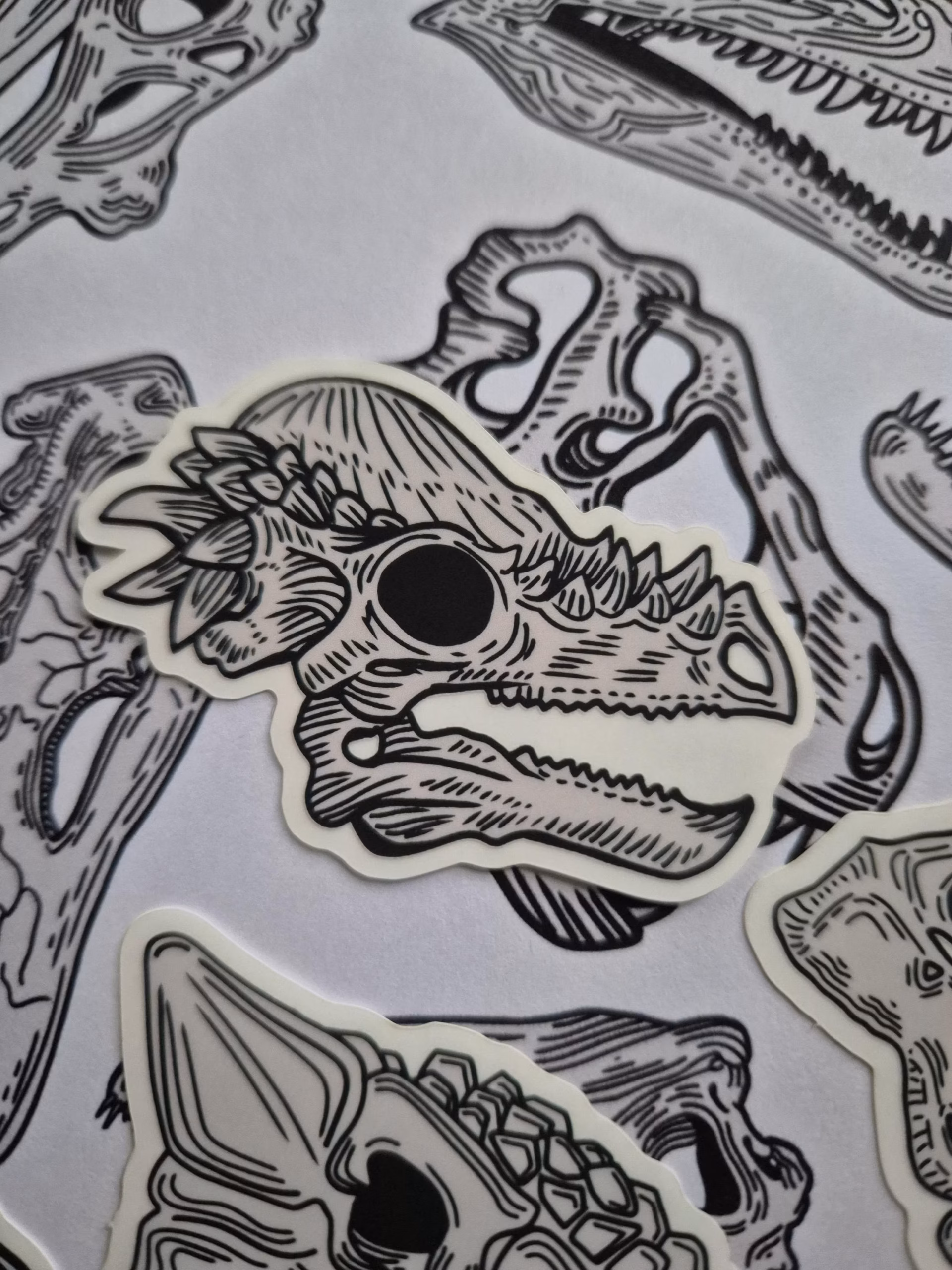 Pachycephalosaurus Skull Vinyl Sticker