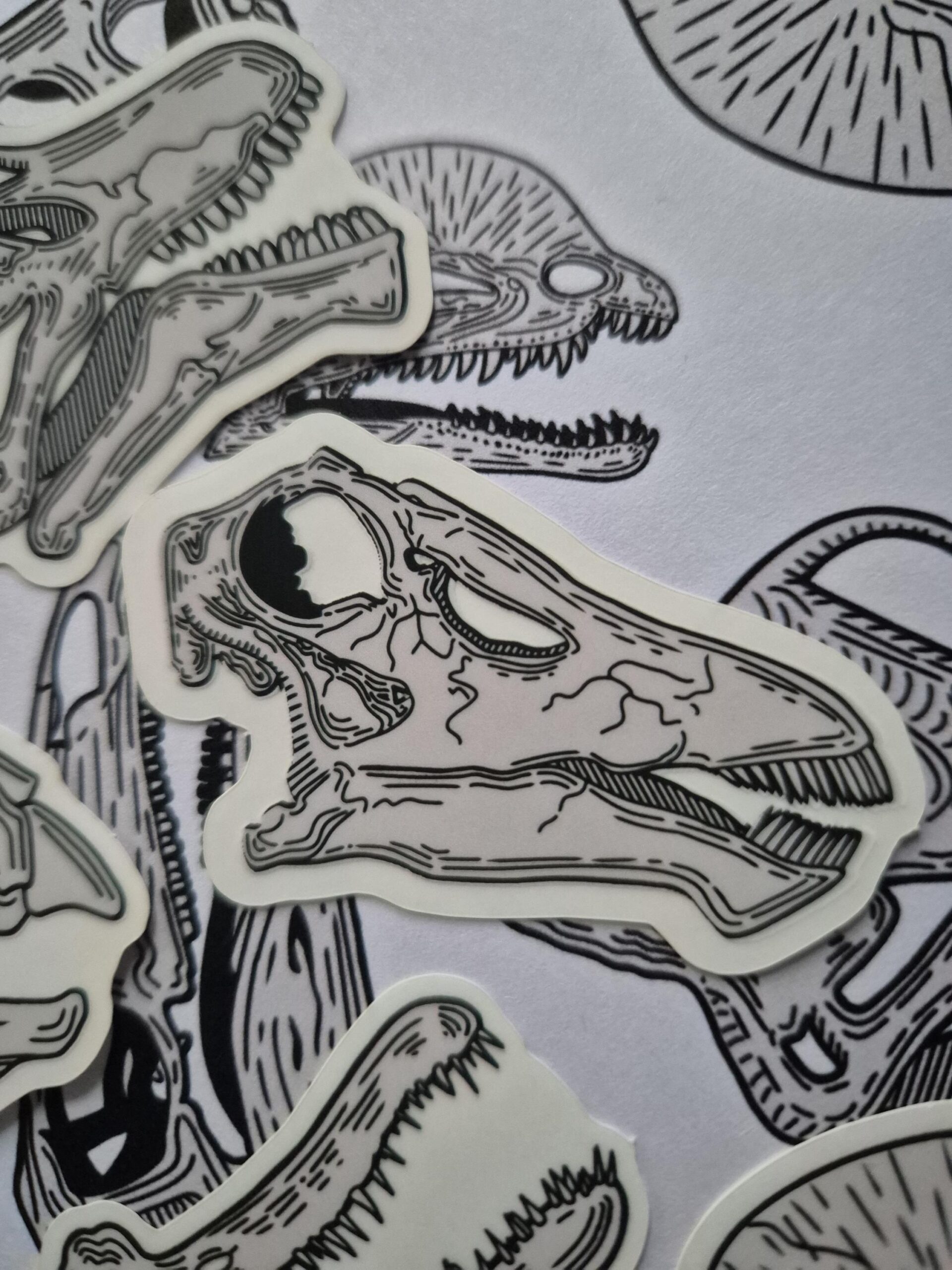 Diplodocus Skull Vinyl Sticker
