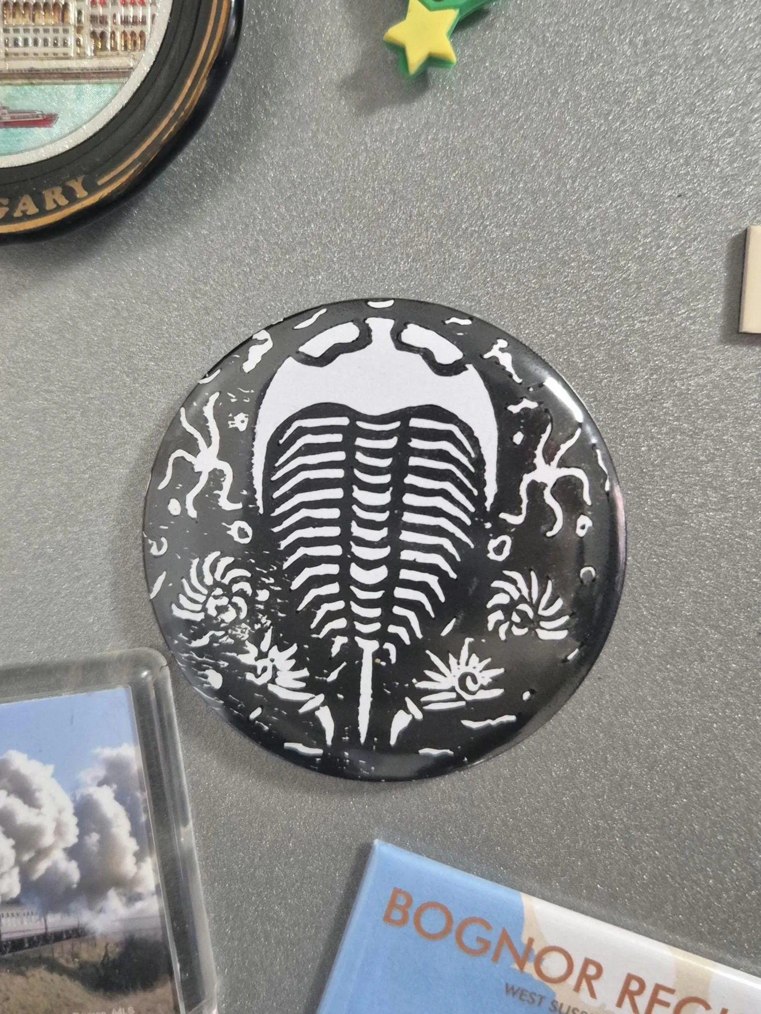 Trilobite Fridge Magnet/Bottle Opener