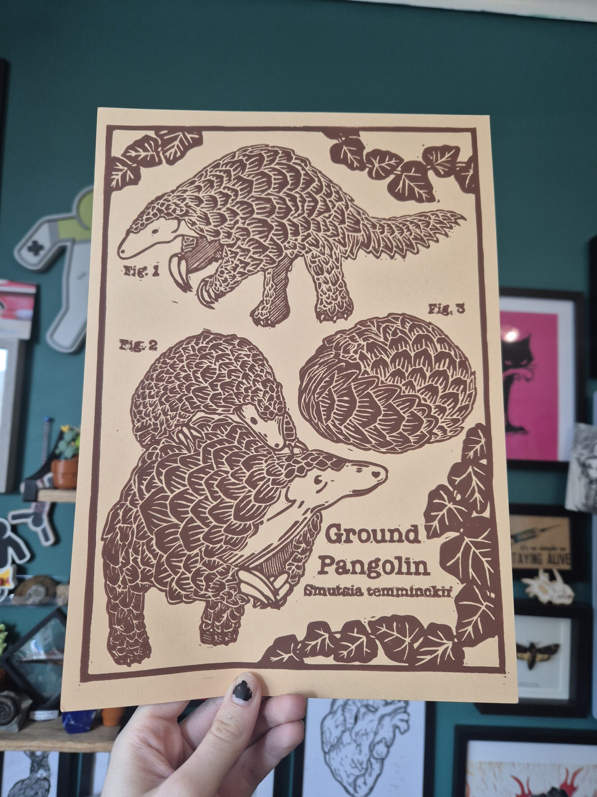 A4 Pangolin Print – Preorder